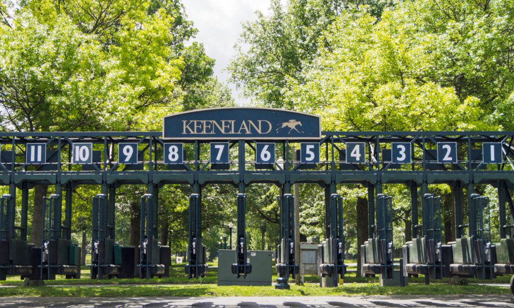 Breeders' Cup FanDuel TV's investment in TVG has earned support from