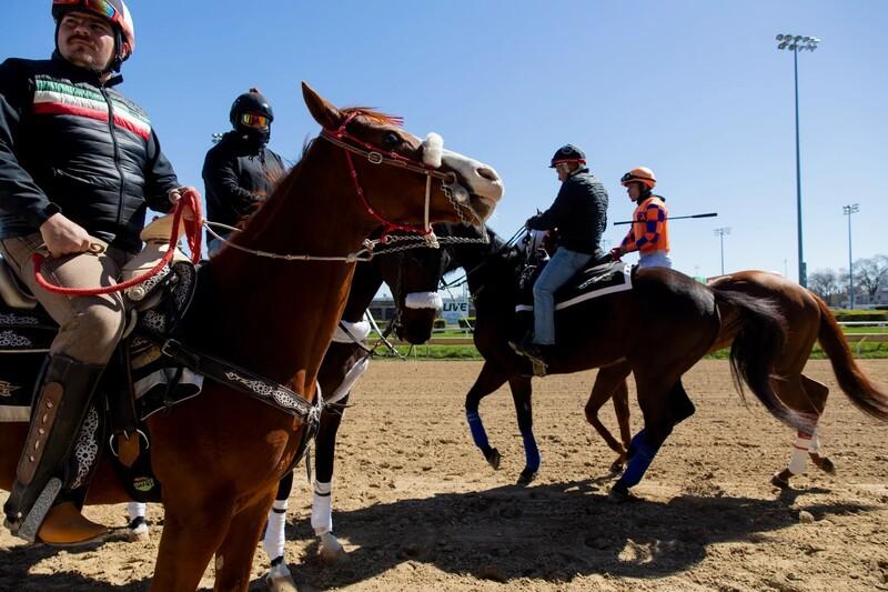 Bidder for Chicago's last track expected to end horse racing
