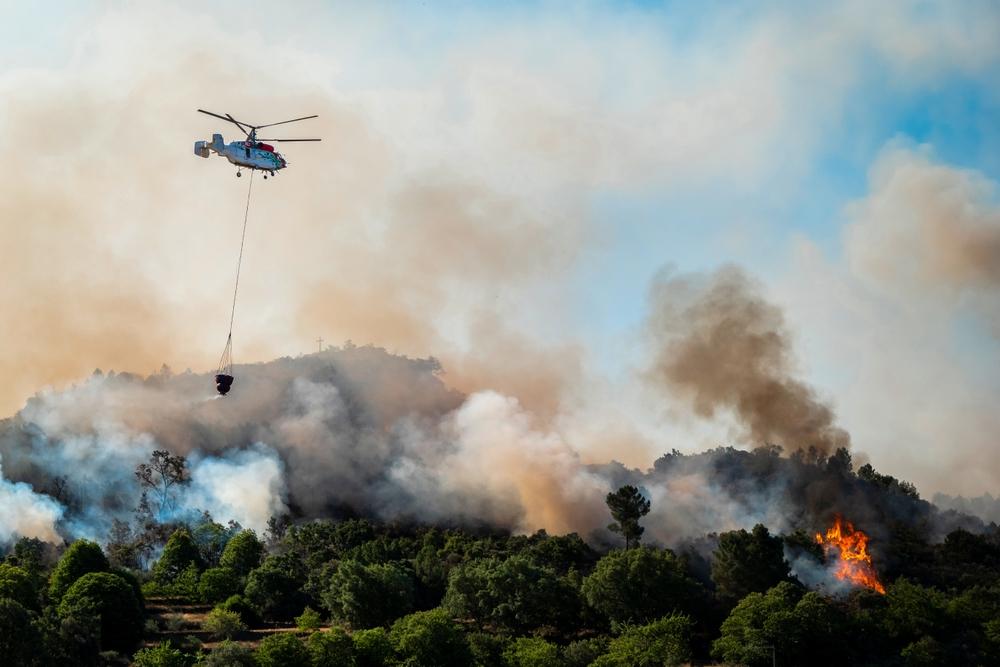 Fearing arson, U.S. senators call for crackdown on wildfire betting